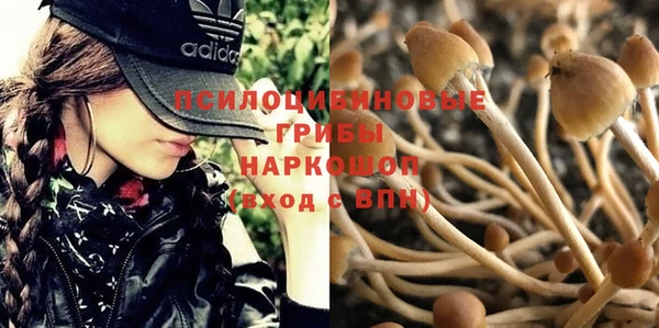 прущие крисы Нея