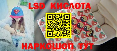 apvp Обнинск