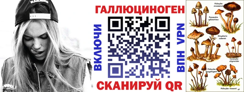 Псилоцибиновые грибы Psilocybe Темрюк