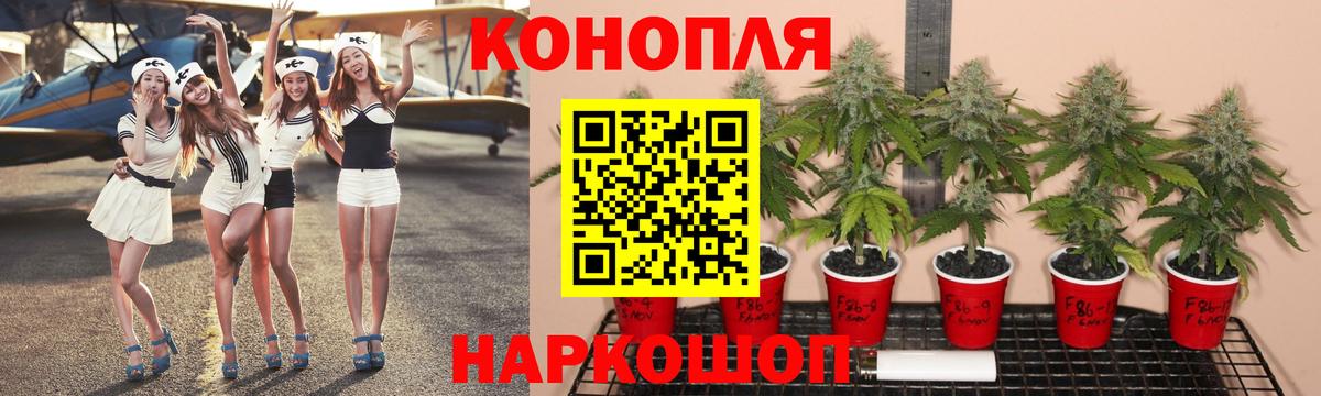 Шишки марихуана гибрид  Канабис планчик  Темрюк  Вход с VPN  Шишки марихуана THC 21%  Шишки марихуана тримм 